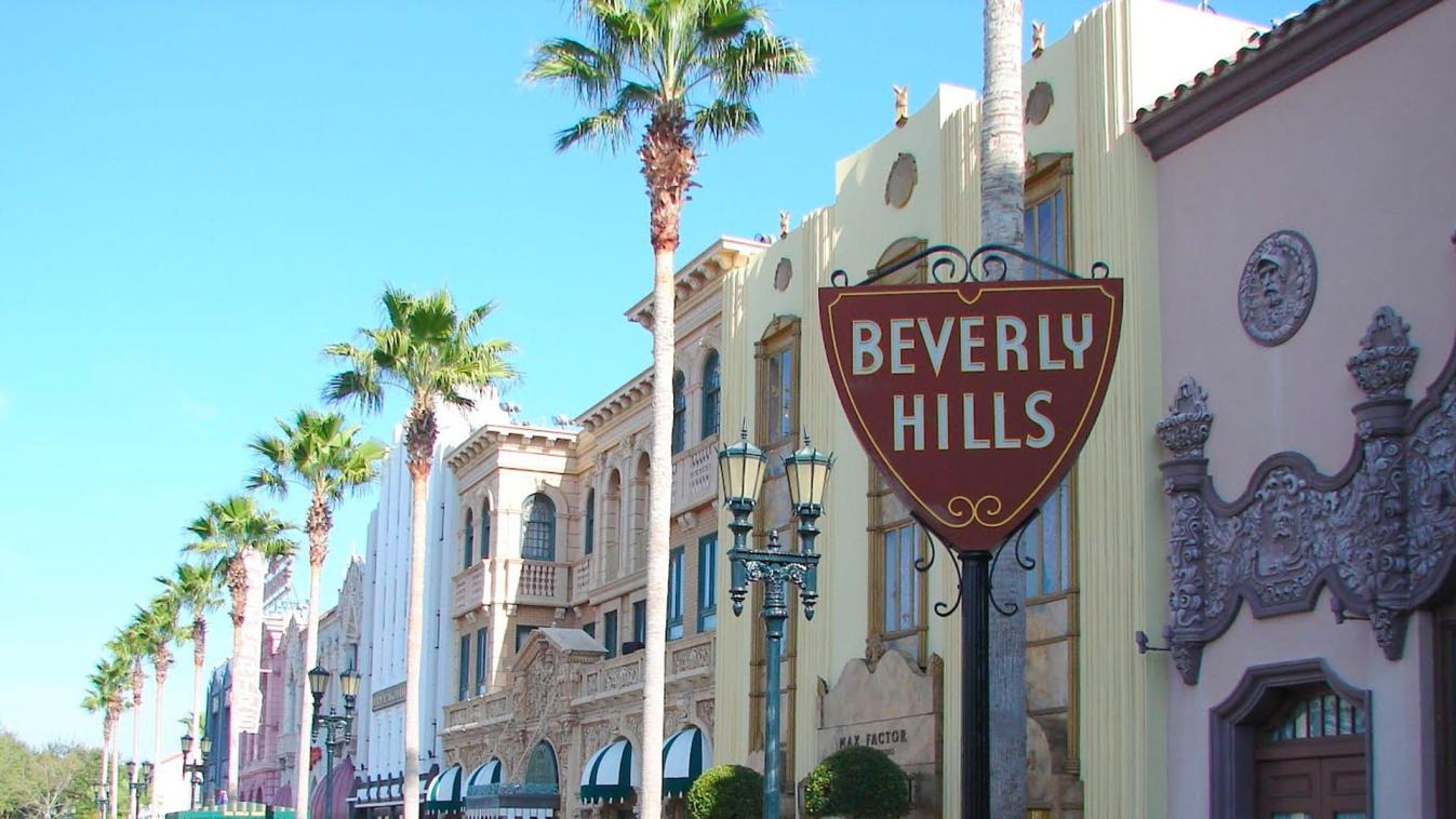 Vilka är de vanligaste säkerhetsfunktionerna i hem i Beverly Hills?